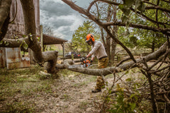 MS 261 Gasoline Chainsaw