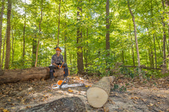 MS 362 Gasoline Chainsaw