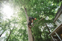 MS 151 Gasoline Chainsaw